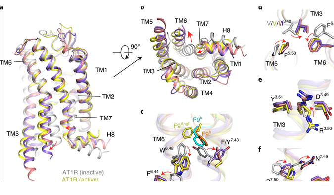 沃森生物与苏州艾博生物相助研发的新冠mRNA疫苗获得了尼泊尔药监部分揭晓的III期临床批件