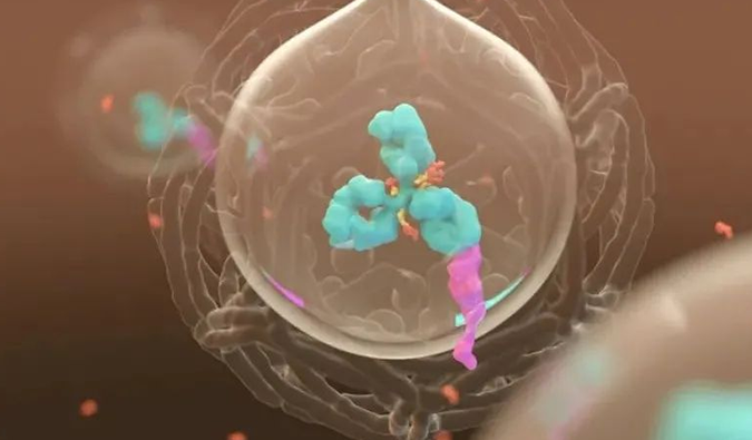 美研 | 豪门国际官网带您相识ADC玄妙之处