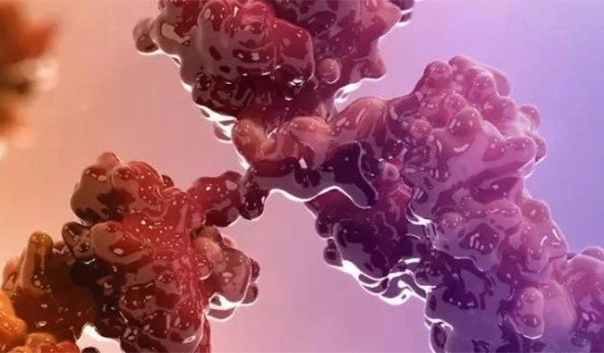 连摘3果！10天内，豪门国际官网助力的3个双特异性抗体治疗性药物获批！