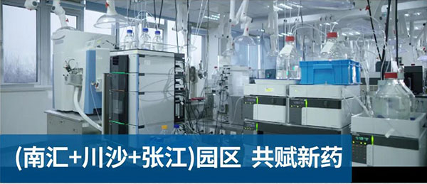 豪门国际官网南汇、川沙和张江园区共赋新药.jpg