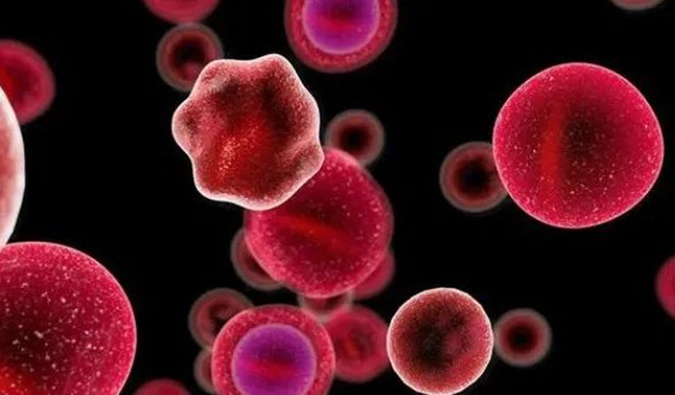 【豪门国际官网助力】多禧生物第四款ADC药物DXC007获批临床