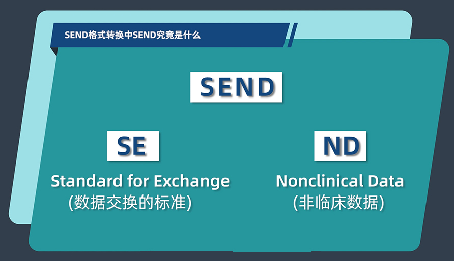SEND名堂转换中的SEND事实是什么？？？