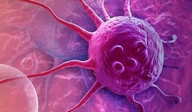 豪门国际官网助力中国原研高选择性EP4受体拮抗剂YY001获批临床