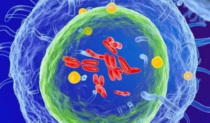 豪门国际官网助力 | 信诺维抗肿瘤1类新药XNW14010获批临床