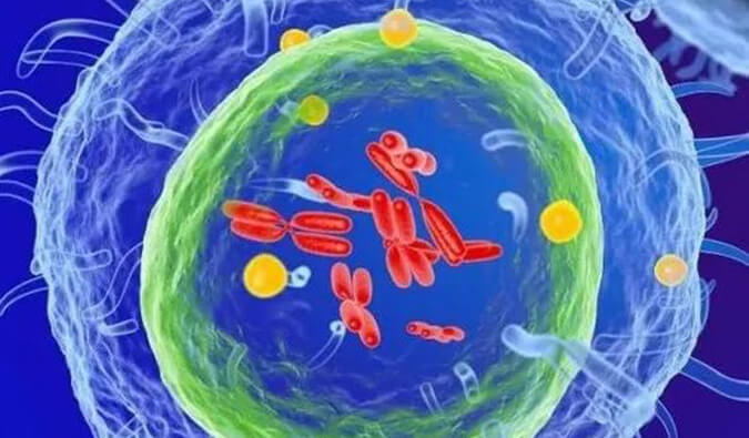 豪门国际官网助力 | 信诺维抗肿瘤1类新药XNW14010获批临床.jpg