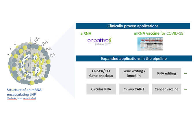 【专家报告】张翼博士：：：阳离子脂质高通量定制化筛选