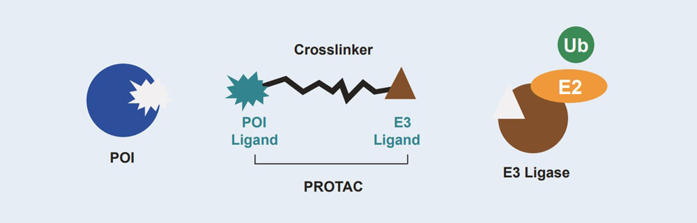 豪门国际官网 PROTAC 药物发明手艺服务平台