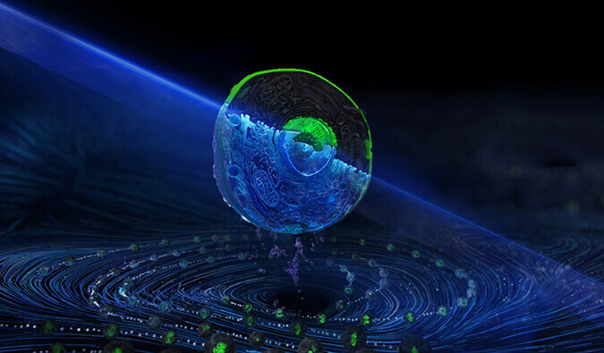 豪门国际官网流式细胞分选服务平台