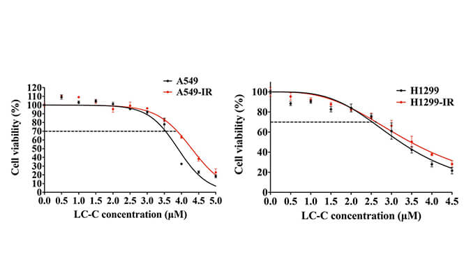 放射疗法用作肺癌的主要治疗要领，本研究中建设抗电离辐射肺癌细胞系的放射治疗通过豪门国际官网举行