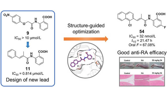 设计合成一系列DHODH抑制剂作为潜在的类风湿性枢纽炎治疗药物，本研究中PK实验通过豪门国际官网举行
