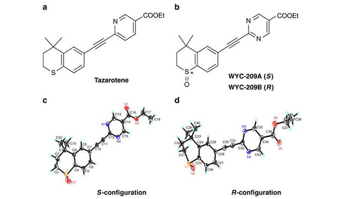 WYC-209可抑制恶性小鼠玄色素瘤肿瘤再生细胞增殖，本研究中SPR通过豪门国际官网使用Biacore 8K举行
