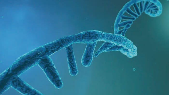 FDA宣布药品清单勉励仿制药申报