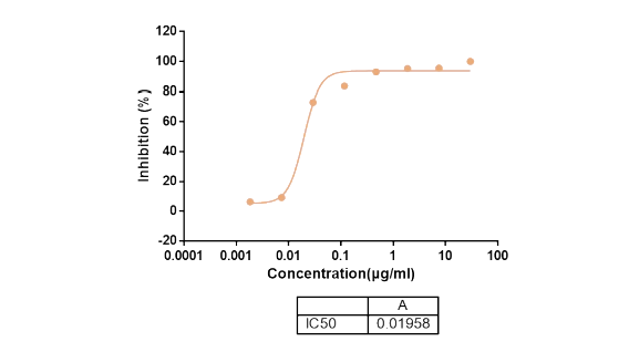 抗体的功效性实验-4.png