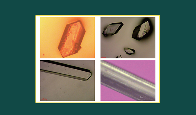 美研| CMC系列(十二)：：：单晶结构剖析在药物开发中的应用和单晶作育哪些事儿