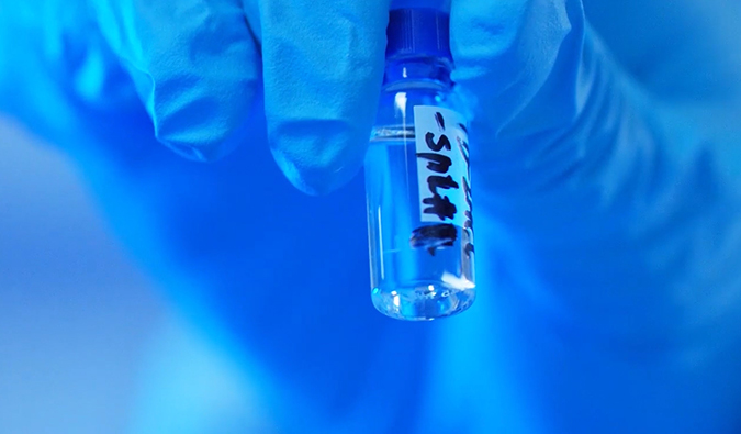 GLP-1“竞速赛”何以夺魁？？？