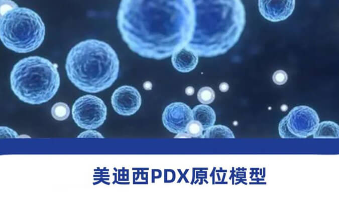 豪门国际官网118种PDX原位模子，助力肿瘤药物研发